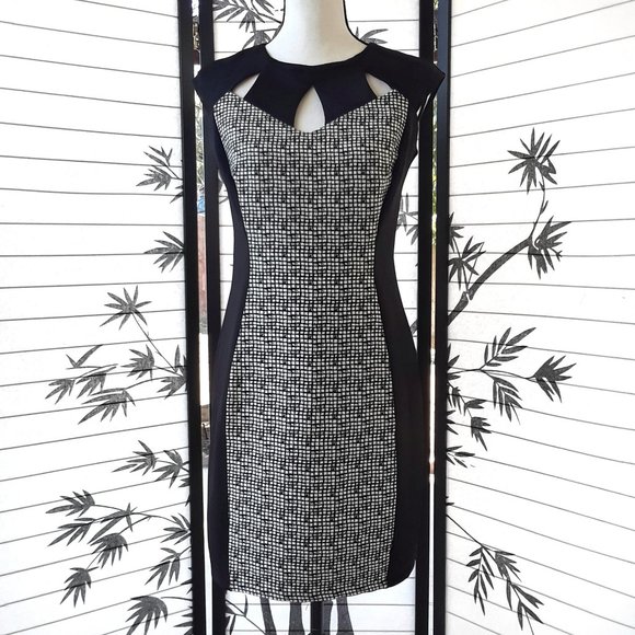 Enfocus Studio Black White Cap Sleeve Sheath Dress - Picture 1 of 12